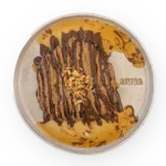 Banana Pancakes