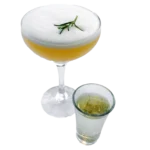 Pornstar Martini Musa Rio